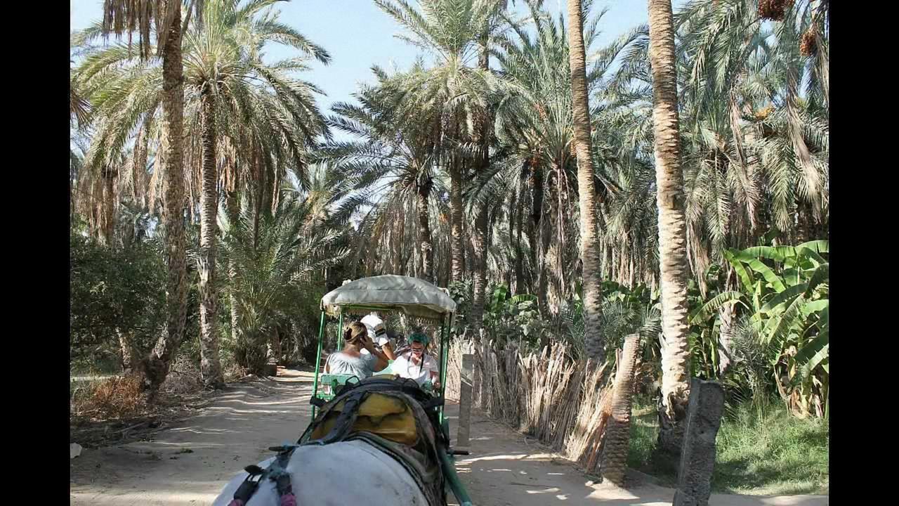 Dar Ezzahra Tozeur Exterior foto